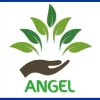 Logo Angel